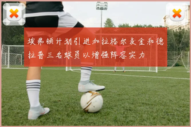 埃弗顿计划引进加拉格尔麦金和德拉普三名球员以增强阵容实力