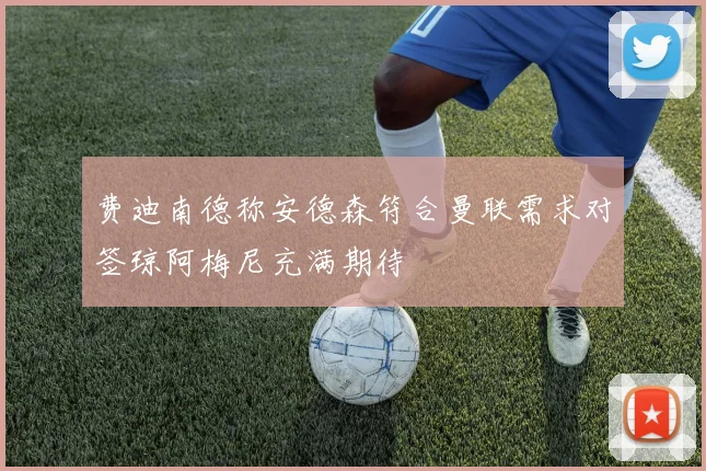 费迪南德称安德森符合曼联需求对签琼阿梅尼充满期待