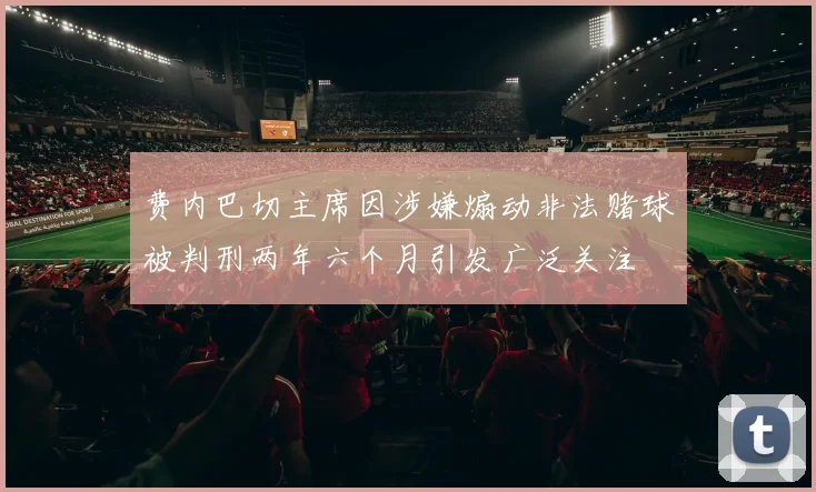费内巴切主席因涉嫌煽动非法赌球被判刑两年六个月引发广泛关注