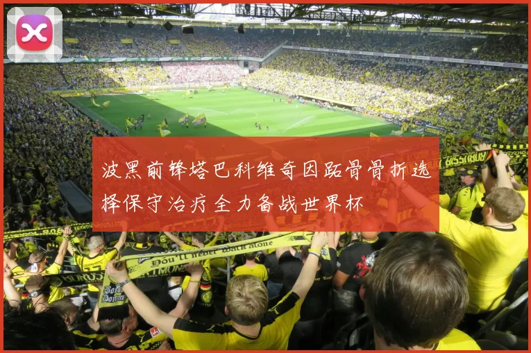 波黑前锋塔巴科维奇因跖骨骨折选择保守治疗全力备战世界杯